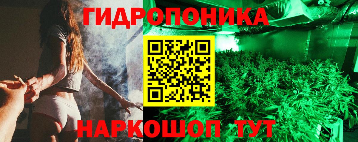 Бошки марихуана сатива Луга